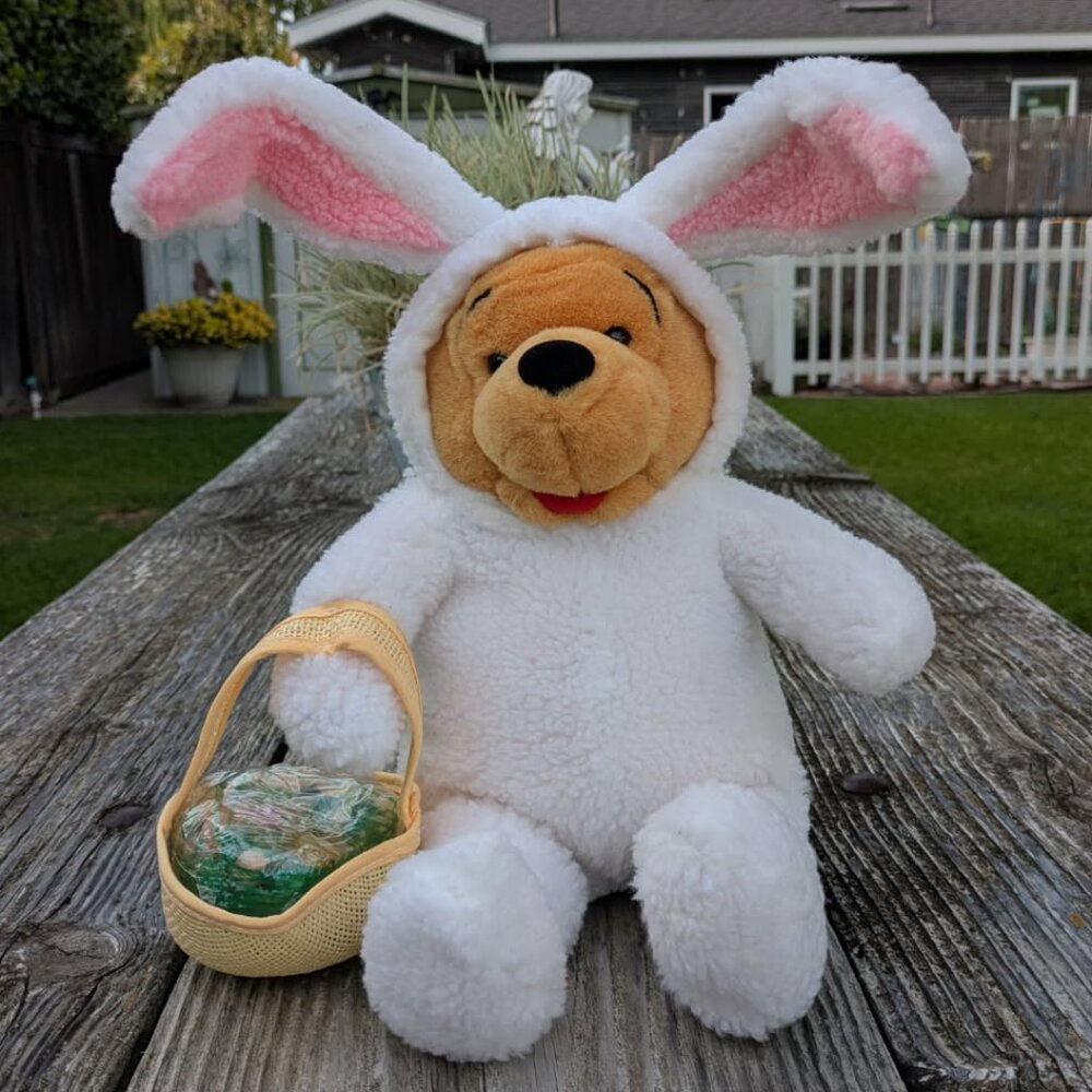 Pooh Easter Bunny Plush with Book and Candy Basket VTG - Picture 2 of 10